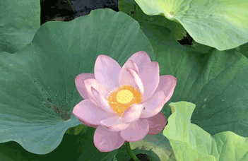 沈陽(yáng)軟化水設(shè)備廠(chǎng)家探討軟化水設(shè)備的實(shí)際優(yōu)點(diǎn)