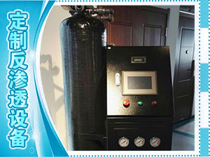 定制0.5T/h反滲透純水設(shè)備