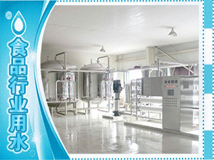 食品廠(chǎng)、水廠(chǎng)生產(chǎn)用水系列